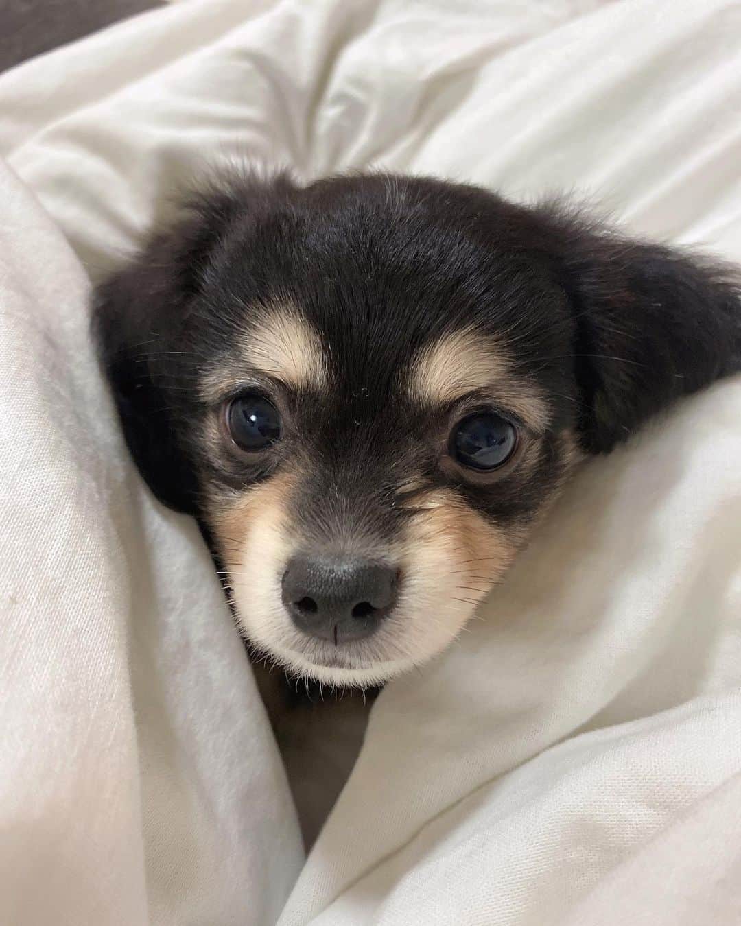 葉月ひまりのインスタグラム：「今日からよろしくお願いします🤍 よかったらInstagramフォローお願いします🦋 @_21_navi」