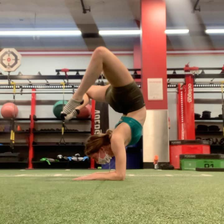 Elliana Shayna Pogrebinskyのインスタグラム：「Adding to the previous gymnastics elbow stand series with a new position 🤸🏻‍♀️ So happy to be working on these moves again even with chronic QL pain that limits the arch in the left side of my back 😅 Its never too late to try to retain your abilities! 🥳  💥DM for personal training information💥  #personaltrainer #49ersfit #49ers #gymnastics #elbowstand #fitness #gym」