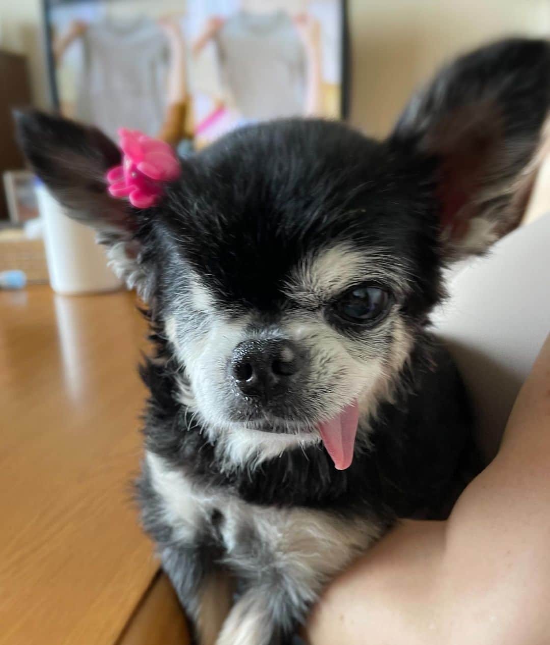 児玉菜々子のインスタグラム