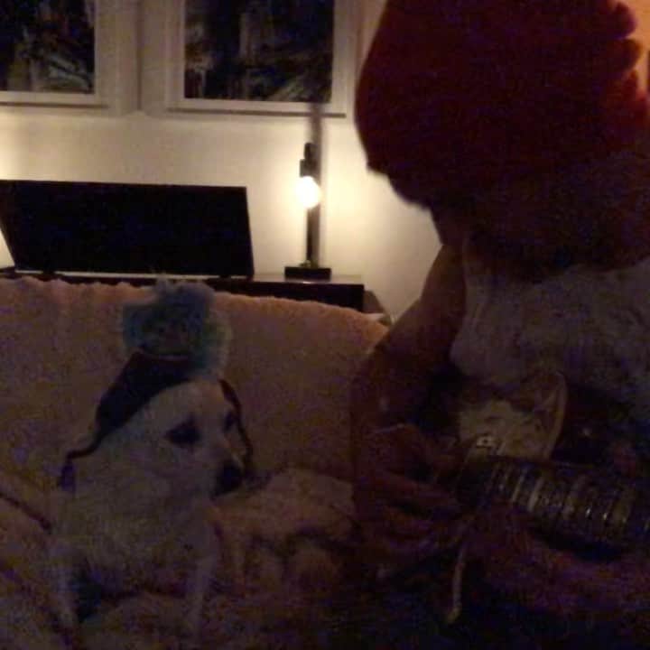 チャーリー・ウェバーのインスタグラム：「Had a late night jam session with Nap. He wants to start a band but I think we just keep it cool and have fun. That being said I can’t deny he does have rockstar looks and charisma. 🐶😎🎸」