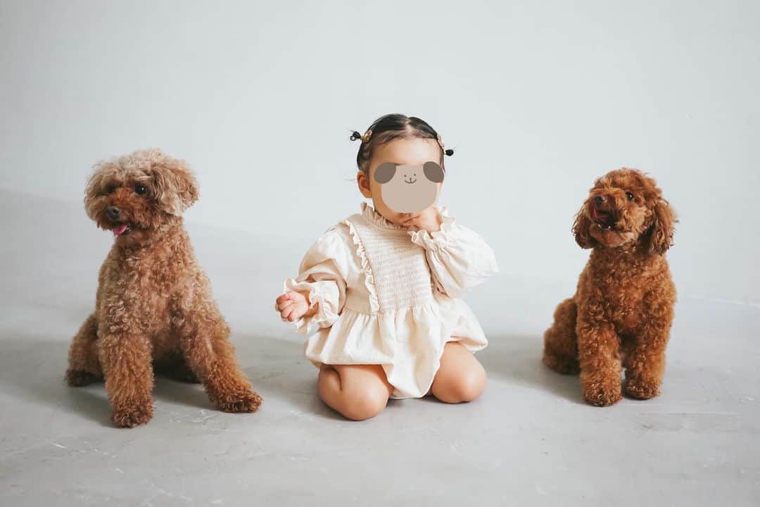 高山直子さんのインスタグラム写真 - (高山直子Instagram)「家族写真👧🏻🐶🐶👩🏻‍🦰👨🏻 賑やかないつもの我が家っぽくてとてもお気に入り🐶🐶  #犬とこども #家族写真」9月11日 14時20分 - nao_70koro