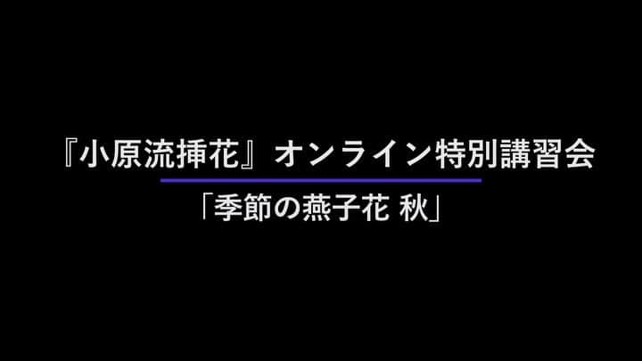 小原宏貴のインスタグラム