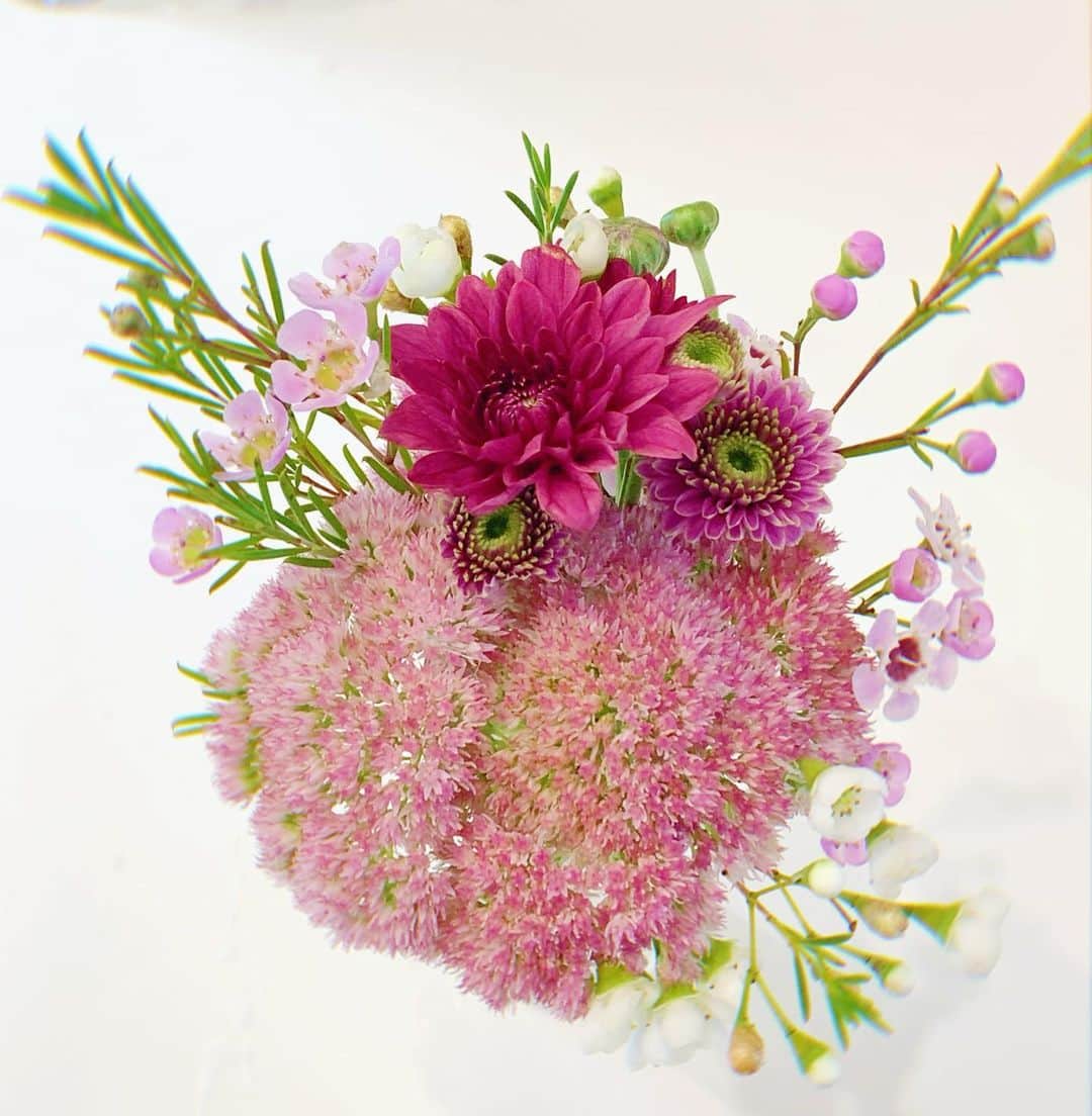 太田景子さんのインスタグラム写真 - (太田景子Instagram)「久しぶりにミニブーケ作ったよ〜☺️  コロナから回復した友だちへ❤️ 以前、玄関に入りきらないくらい大きな箱に入ったお祝いのお花をもらったので、快気祝いもお花でお返ししようと思いつきました💐✨  秋のお花を詰め込んでみたけど、喜んでくれるといいな🌾💛」9月11日 12時20分 - keiko_ota1121