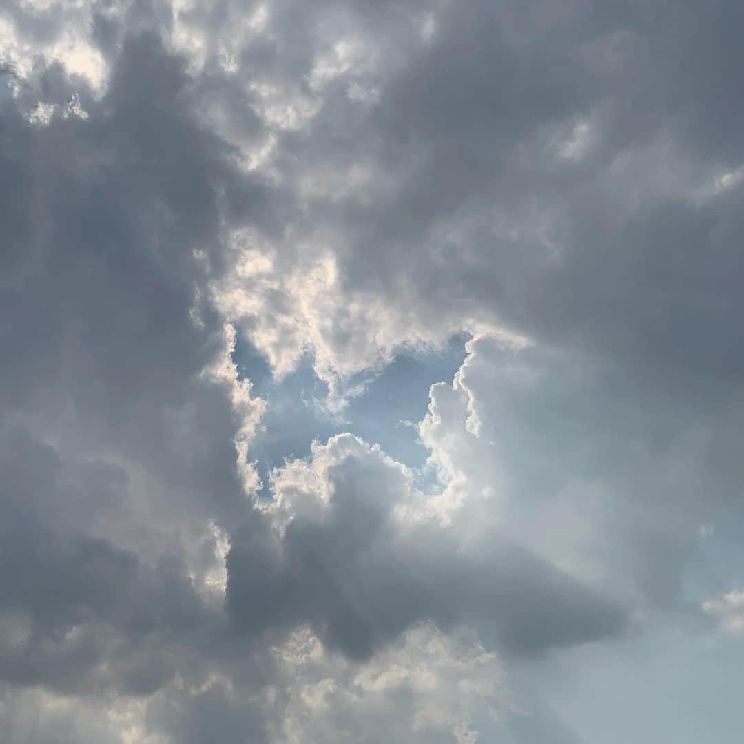 chiiiiiのインスタグラム：「🦋☁️...🤍 空に蝶々がいた」