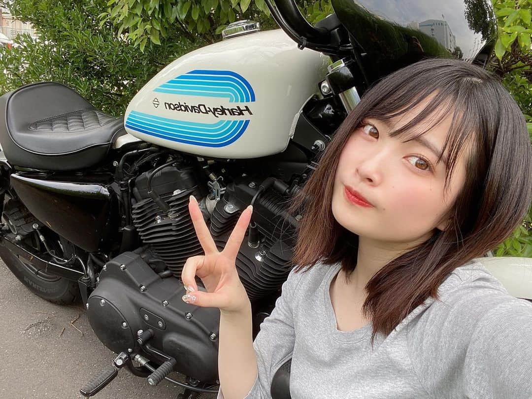 AMIのインスタグラム：「・ ・ だいぶ前に乗った初ハーレー🏍 振動が凄すぎた…びっくり:(´◦ω◦｀):笑 ・ ・ 色んなバイク乗るの楽しすぎてやめられない〜おすすめバイク教えてください🥺🌈 ・ ・ ・ #バイク #バイク女子 #bike #バイクのある生活  #バイクのある風景  #バイクが好きだ  #バイク好きな人と繋がりたい  #バイクウェア #はーれーだびっどそん  #アイアン1200  #hurleydavidson」