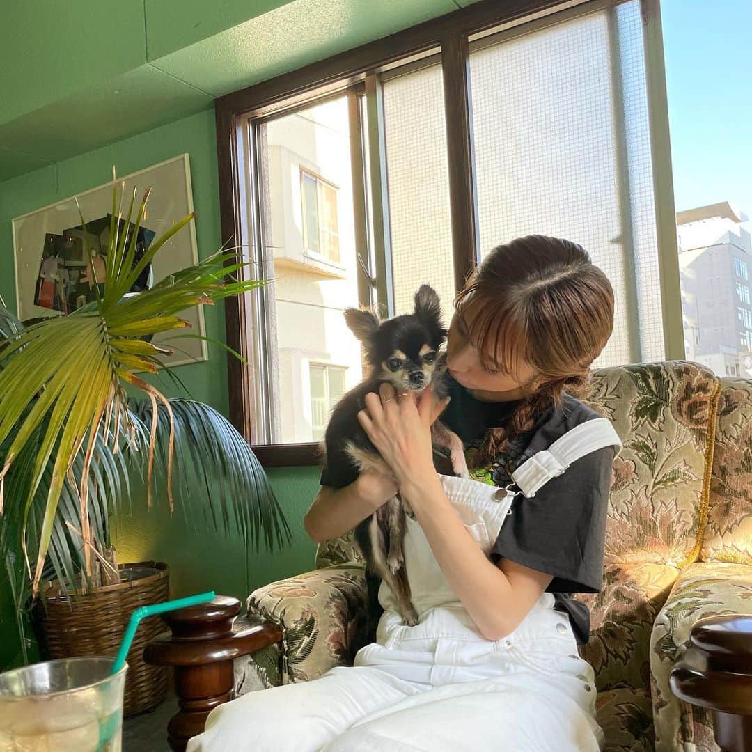 前田ゆうのインスタグラム：「うちのかわいいこちゃんと🐶💕 お外ではとっても甘えてくるんです🙂 マイペースなとこもだいすき❤️ しかしさいきんは手作りごはんあげるようになったんやけど、モリモリたべてくれるからうれしくって苦手な料理もがんばれる😚‼️  コロナになって過ごせる時間がふえたからそれはうれしくもあります^ - ^ 長生きしてね😊✨」