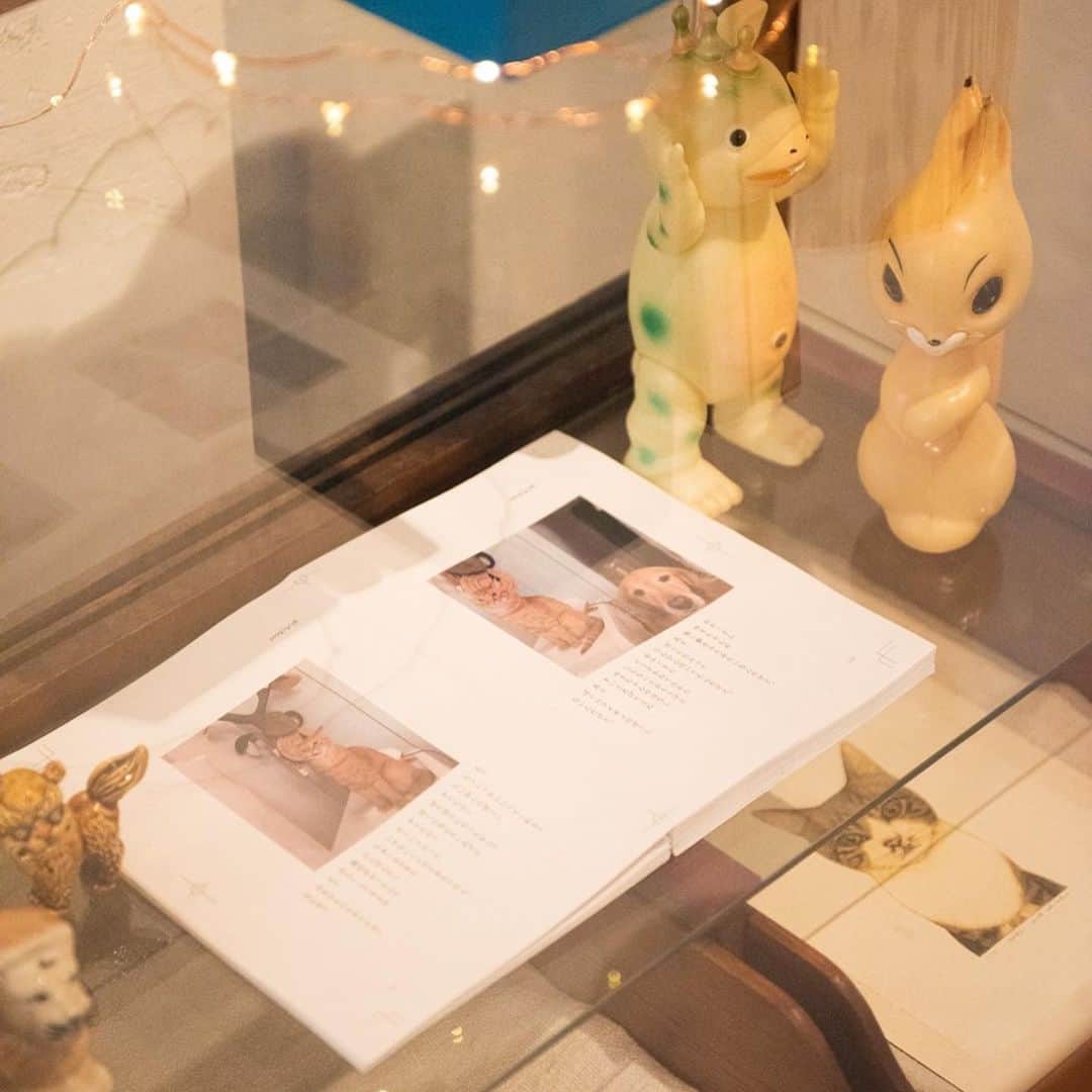 石田ゆり子さんのインスタグラム写真 - (石田ゆり子Instagram)「本日から 9月いっぱいまで @hugowar_vintagechic  にて、 ゆりごろう王国の世界が 雅姫さんの手によって 素敵にディスプレイされて 展示されております😭😊🙏🏻 ハニオのご飯入れ、ハニオの宝物の、ライオンのお人形、 ブースカ、りす坊、ほかにも ハニオ日記制作途中になんども作った仮本などなど。 ハニオのご飯入れをみんなが見てるなんてすごく不思議な気持ちですが…😭😅 全てリアルなものなので 楽しんでくださると嬉しいです。 限定数あった青い箱は あっとあうまに売り切れたと聞きありがたいやら 申し訳ないやらです。 雅子ちゃん 素敵な世界を作ってくれて 本当にありがとう😊😍‼️ ハニオ日記は 本当に幸せな本です。」9月11日 20時47分 - yuriyuri1003