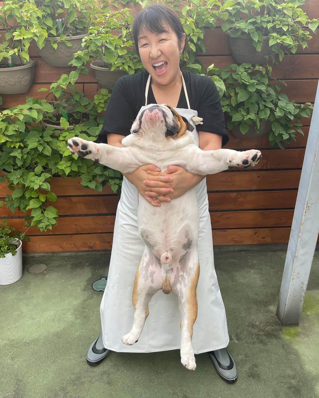 北斗晶さんのインスタグラム写真 - (北斗晶Instagram)「今日はお風呂の日🛁 家でシャンプー。  シャンプーを変えたら でんでんの涙焼けが綺麗になってきた〜😊 このシャンプーは傑作品❤️  #犬用シャンプー  #シャンプーの日  #花梅田鈴  #愛犬  @nopa_jp」9月11日 21時17分 - hokutoakira_official