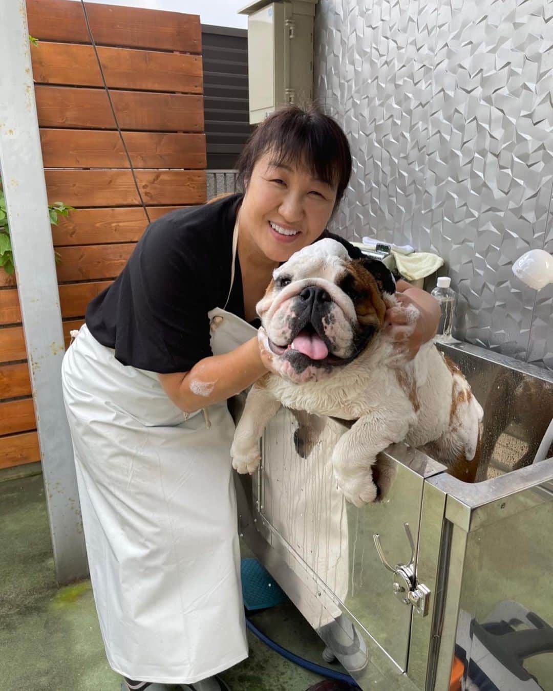 北斗晶さんのインスタグラム写真 - (北斗晶Instagram)「今日はお風呂の日🛁 家でシャンプー。  シャンプーを変えたら でんでんの涙焼けが綺麗になってきた〜😊 このシャンプーは傑作品❤️  #犬用シャンプー  #シャンプーの日  #花梅田鈴  #愛犬  @nopa_jp」9月11日 21時17分 - hokutoakira_official