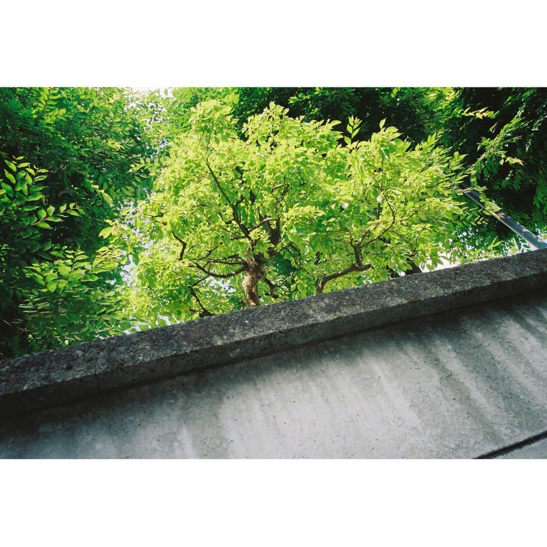 黒島結菜のインスタグラム