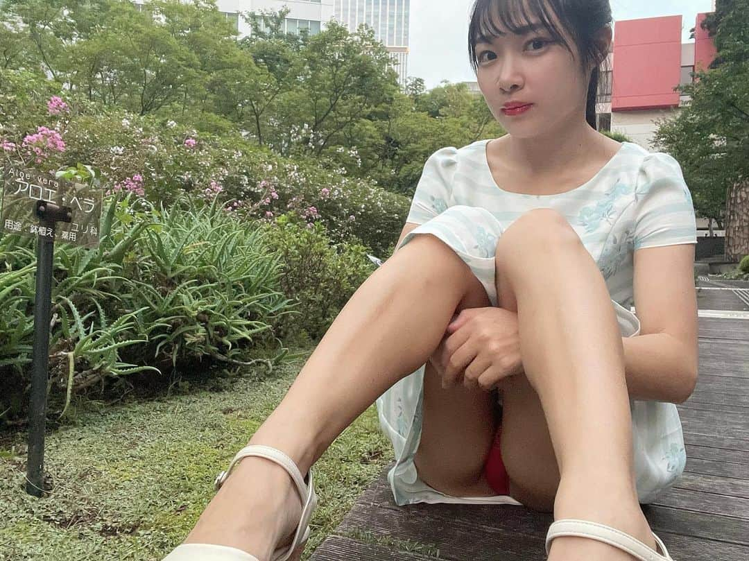 藍沢梨夏さんのインスタグラム写真 - (藍沢梨夏Instagram)「寒くなったり、暑くなったり...💐 みなさん、沢山栄養摂ってね😚  #チラリズム #チラリズム探究家 #kwaii #むちむちボディ #グラビアアイドル #gravure #tokyogirl #パンチラ先生」9月11日 22時03分 - rika.aisawa