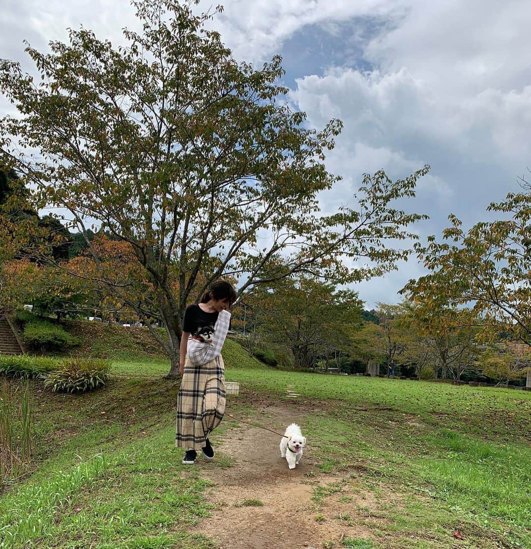 小野真弓のインスタグラム