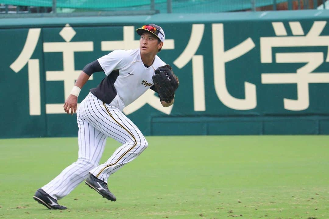 阪神タイガースさんのインスタグラム写真 - (阪神タイガースInstagram)「今日も甲子園球場でウエスタン公式戦が行われます！ 試合前練習の様子です！ #尾仲祐哉 選手 #奥山皓太 選手 #石井将希 選手 #藤田健斗 選手 #守屋功輝 選手 #山本泰寛 選手 #ウエスタンリーグ  #阪神タイガース #挑超頂」9月12日 11時12分 - hanshintigers_official