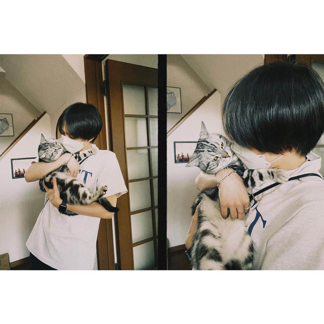のインスタグラム：「抱っこされるの大嫌いな実家のぎんさんです😚」