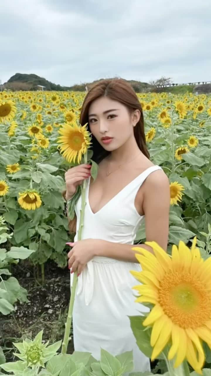 MIYABIのインスタグラム：「こんにちは🌞  ひまわりと私🌻Part 2✨  この畑は1人5本までお花のお持ち帰りが出来たので、記念に頂きました🥺🙏  また来年も行きたいなぁ💕  今夜はYouTube出てるので是非チェックしてみてくださいね😘  #cyberjapandancers #サイバージャパンダンサーズ #cjd_miyabi #ミヤビーム #ひまわり畑」