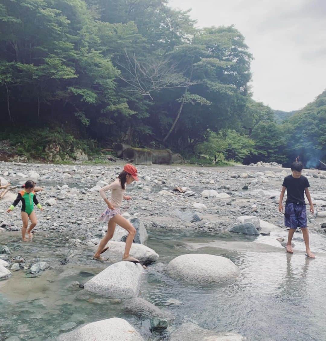 鈴木六夏さんのインスタグラム写真 - (鈴木六夏Instagram)「夏の思い出。  自然遊びの達人的ファミリーに連れていってもらった川。 人もいなくてビスコものびのび♪ 自然の中でしか得られない楽しさ、開放感！ もっと増やしていけるといいですね！」9月12日 15時40分 - rikuka.62