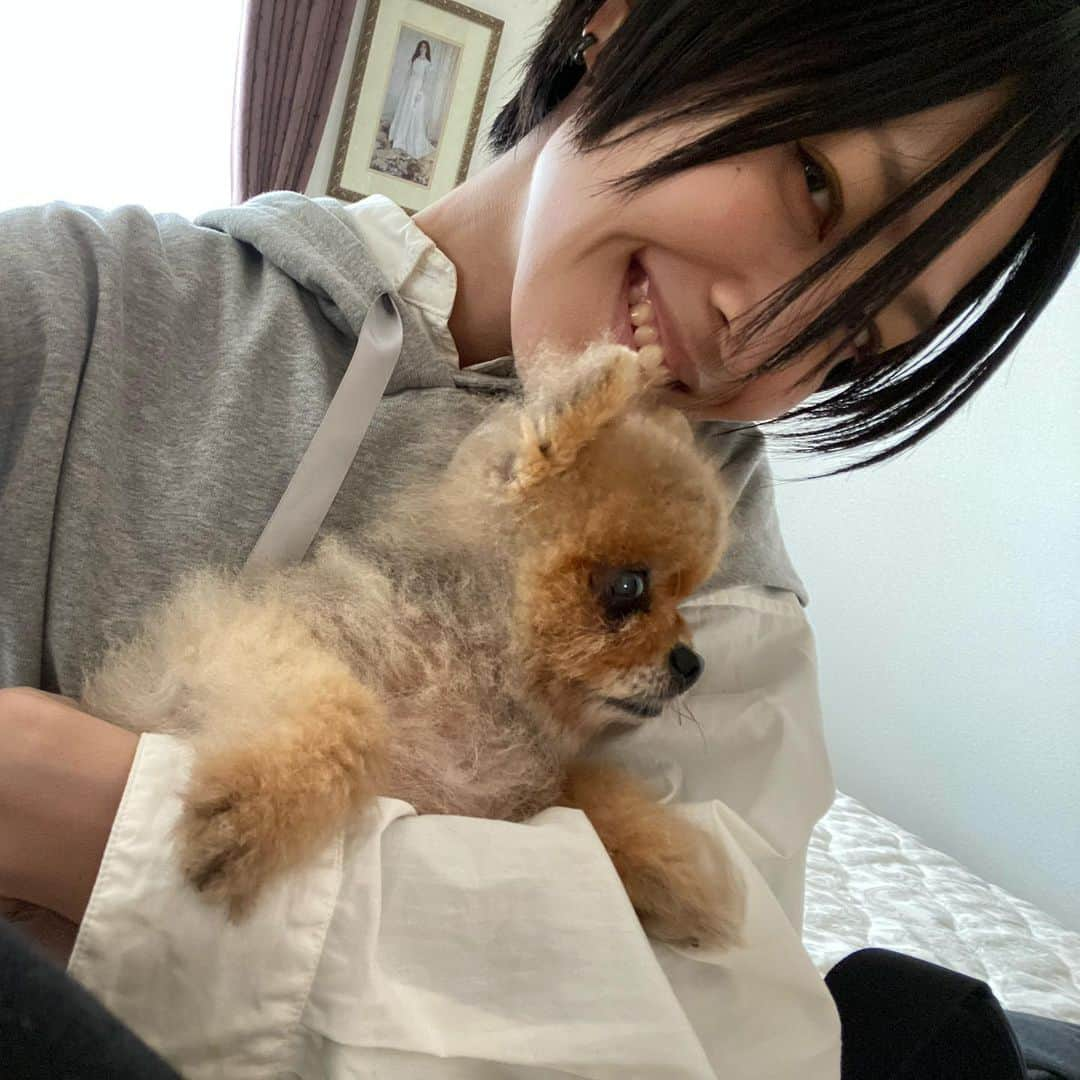 小柳歩さんのインスタグラム写真 - (小柳歩Instagram)「🐶 #ポメラニアン」9月12日 17時02分 - koyayukoyayu