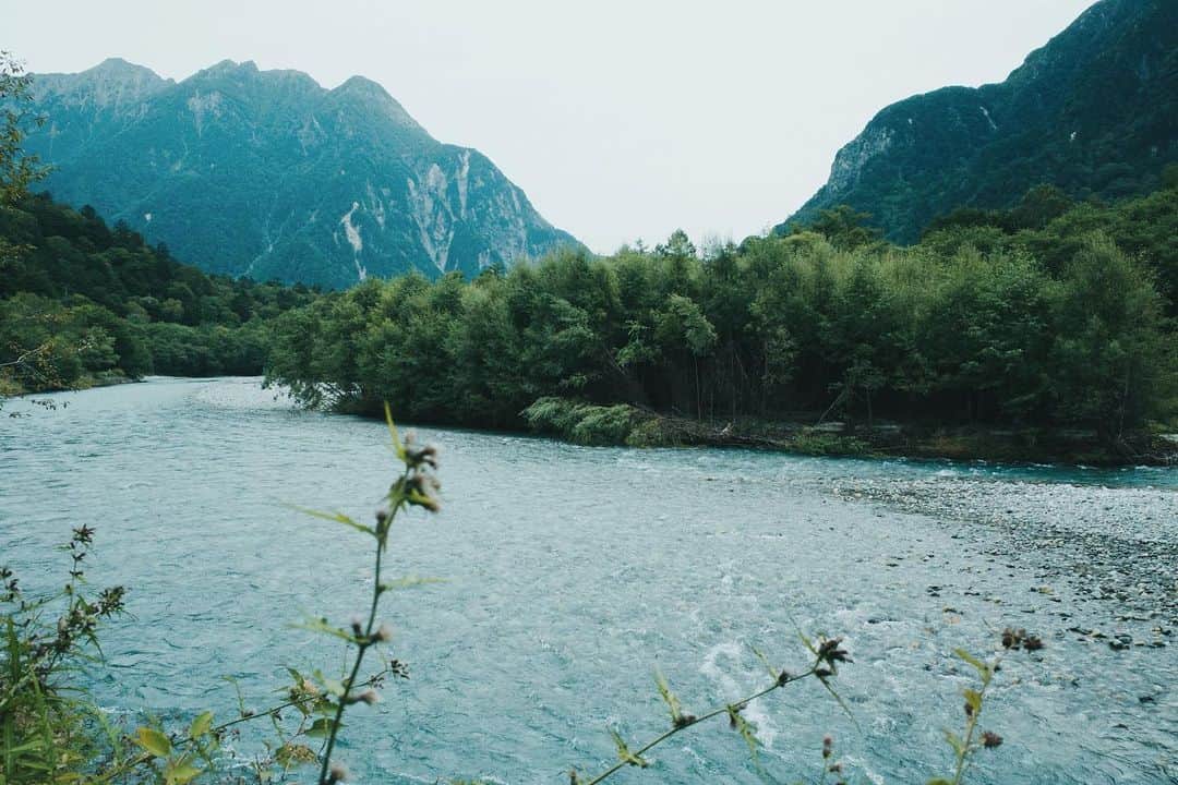 高山都さんのインスタグラム写真 - (高山都Instagram)「何時間も歩いた。 気づけば無心になって歩き進めてて、ちょっと覚醒したような感覚になった。 時々、思い出したように、マスクをはずし(誰もいないし)いーーっぱい深呼吸した。 緑や土の匂い、風や川の流れる音を聞き、時々大きな木に触ってみたりした。 ザクザク踏みしめる音が静かに響くのも熊よけの鈴が小気味良く鳴るのも気持ちよかった。 家でしか使うことがなかったカメラで、メモリーカードが足りなくなるほど写真を撮った。 人気の少ない森で、わーって大声出してみた。 ワタシたち以外いないから、恥ずかしくもなんともない。 とにかく、澄んだ空気の中に、いい風が吹いていた。 今週も、頑張りましょう。」9月12日 20時33分 - miyare38