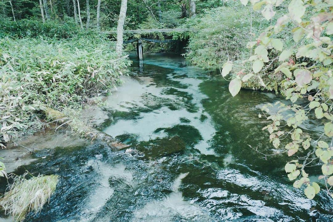 高山都さんのインスタグラム写真 - (高山都Instagram)「何時間も歩いた。 気づけば無心になって歩き進めてて、ちょっと覚醒したような感覚になった。 時々、思い出したように、マスクをはずし(誰もいないし)いーーっぱい深呼吸した。 緑や土の匂い、風や川の流れる音を聞き、時々大きな木に触ってみたりした。 ザクザク踏みしめる音が静かに響くのも熊よけの鈴が小気味良く鳴るのも気持ちよかった。 家でしか使うことがなかったカメラで、メモリーカードが足りなくなるほど写真を撮った。 人気の少ない森で、わーって大声出してみた。 ワタシたち以外いないから、恥ずかしくもなんともない。 とにかく、澄んだ空気の中に、いい風が吹いていた。 今週も、頑張りましょう。」9月12日 20時33分 - miyare38