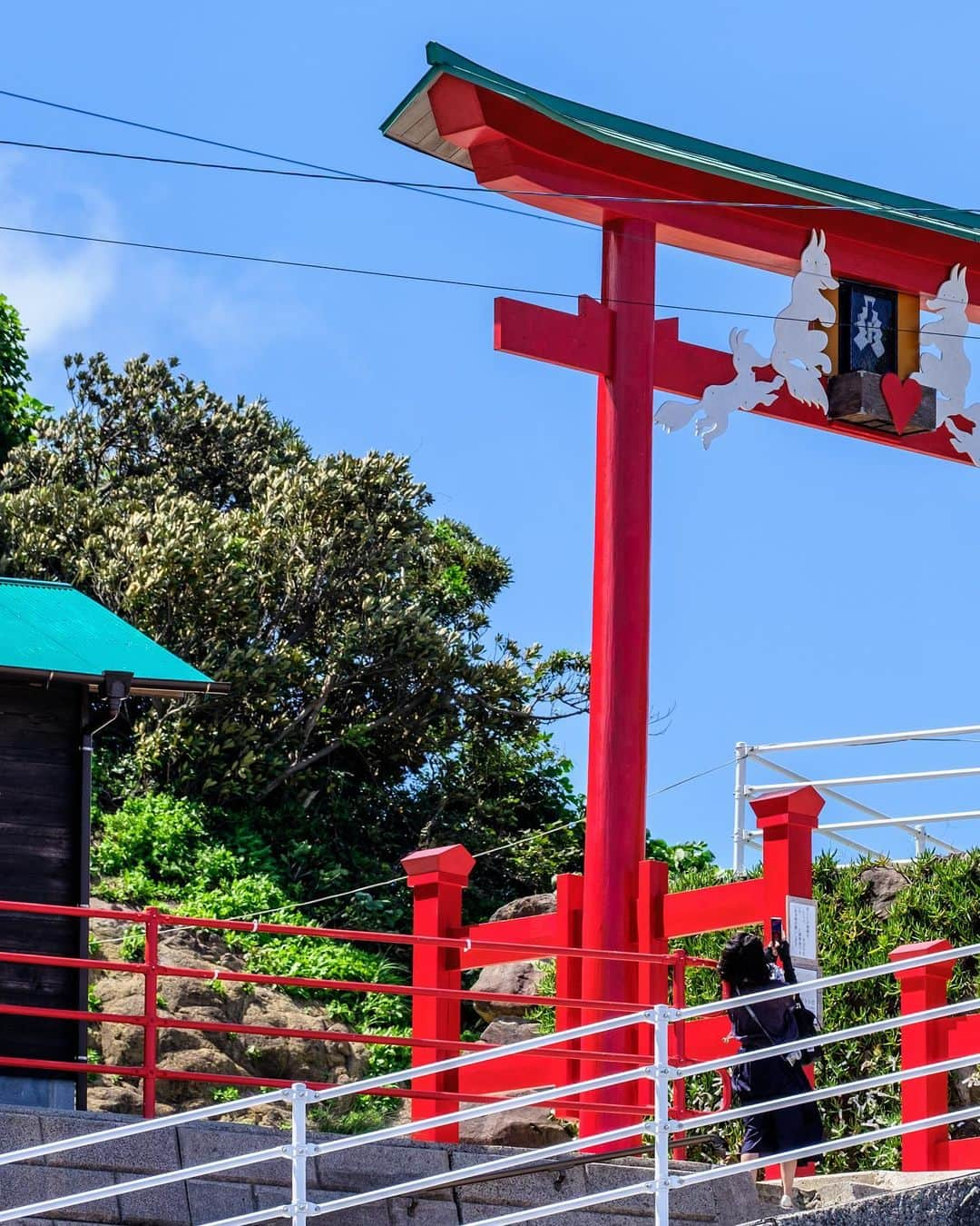 SHOCK EYEさんのインスタグラム写真 - (SHOCK EYEInstagram)「山口県長門にある元乃隅稲成神社は、千本鳥居が鮮やかな景観の素晴らしい神社さん⛩  ここは、外国人の評価がきっかけで一躍有名になった場所で、そこから国内外問わず、多くの参拝客が訪れるようになったみたい。  そもそもここの断崖は、「竜宮の潮吹き」と言われ、昭和9年8月に国指定天然記念物および名勝に認定されてた場所で、素晴らしい場所なんだけど、  そんな逆輸入パターンで再評価されて、、山口県観光の救世主になるなんて、、本当凄い！＾＾  とにかく思ったのは、 僕らが僕らの住む国のことをもっともっと知って、好きになって、海外に誇れる場所を一つでも多く、紹介して、保全して、みんなで大切にしていけたら良いなあ、ってこと。  まだまだ世の中に知られていない、素晴らしい場所は沢山あるはずだもんね。  最後の写真、ここの鳥居に備え付けられたお賽銭箱。 どうやら入れるのがとても難しいみたいで、うまく入れられたら、願いが叶うとか、、  是非やってみては✨  てか、とにかく海風、波音が本当に気持ち良い場所でした🙏✨  #元乃隅神社 #元乃隅稲荷神社 #motonosumiinari #inari #inarishrine #shrine」9月13日 10時43分 - shockeye_official