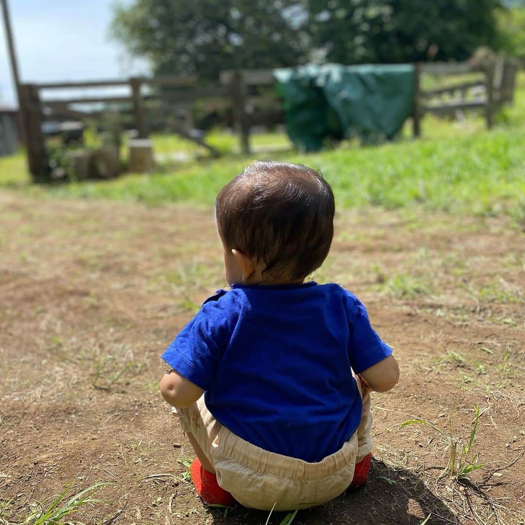 橋本マナミさんのインスタグラム写真 - (橋本マナミInstagram)「家族で山の中に遊びに行ってきました🗻虫の声、風の音、森林の香り、色々感じられる大自然🥰 息子もいろんな刺激を受けて一つ大きくなりました。それは嬉しいんだけど、さらに意志の強いイヤイヤ期突入😂 本当に世のお父様お母様を尊敬します🙇‍♀️ #伊勢海老　🦞　#1歳2ヶ月」9月13日 20時02分 - manami84808