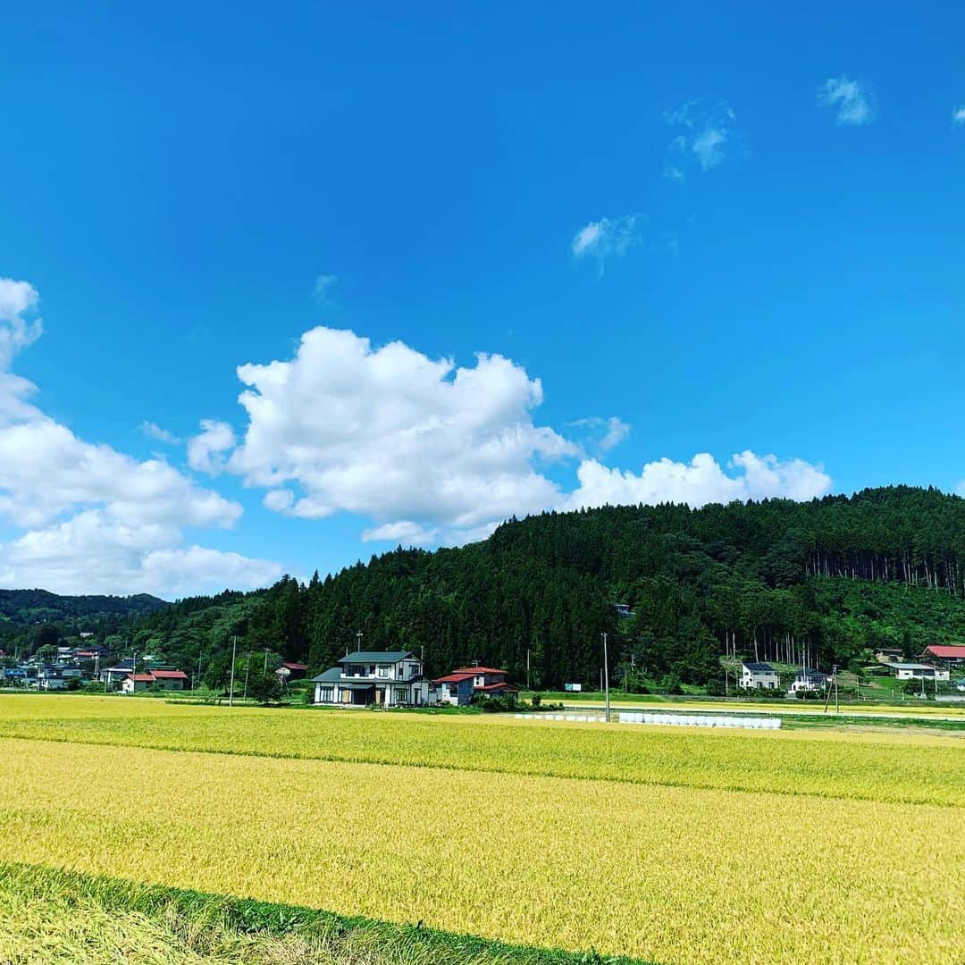 根岸えまのインスタグラム：「あきーーーーっ！  ここさいきん、 気仙沼は一気に 秋めいてきたんだけど  こんなに秋に 心惹かれたのは いままでで初めて♡。  さらっとふく秋風も  黄金色の稲穂も  高くなった秋の空も  短くなった夕日の中 歩くのも  昼と夜のあいだも  陽が落ちると 浮かびあがる漁火も  シェアハウスのうしろの真っ暗な田んぼから聴こえてくるスズムシの声も  ぜんぶがきもちいい。  ゆたかだ〜。  こころ落ち着く〜。  なぜだ〜。  秋すき♡。  #からくわ #karakuwa #kesennuma #penturn #半島移住 #移住style #秋っていいね #秋すき あと足りてないのは#芋煮会 #芋煮食べたい」