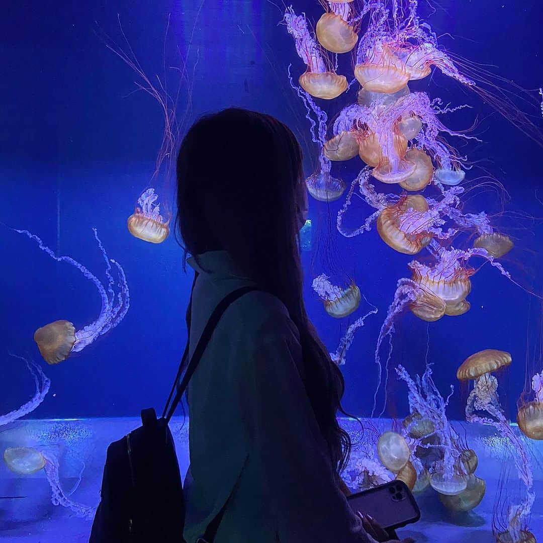 のインスタグラム：「生まれ変わるなら何になりたい？ ・ ・ ・ ・ 私は雲」