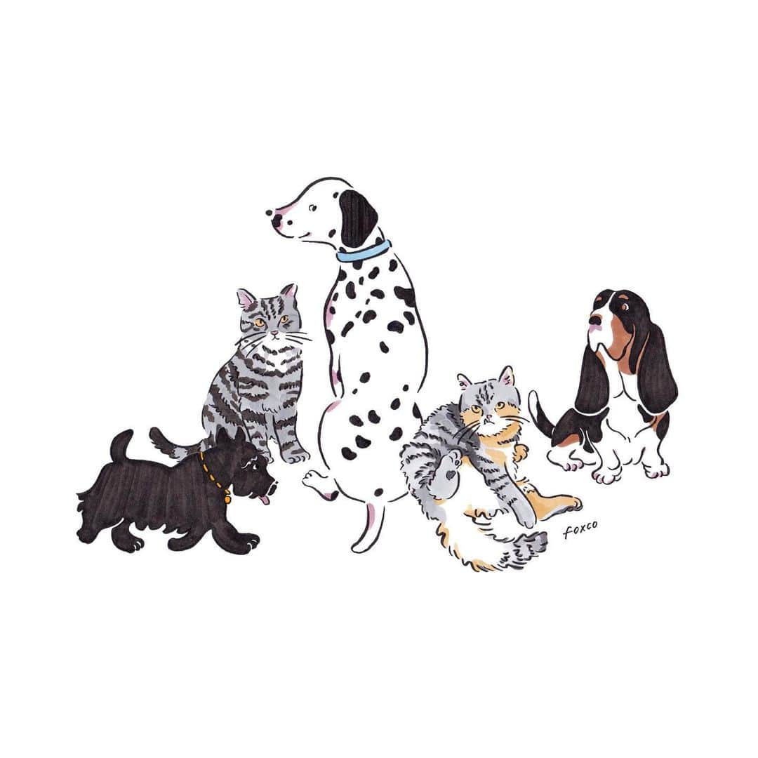 渡邉香織のインスタグラム：「Always love to draw animals 🐾😮‍💨  Work for @nune.jp」