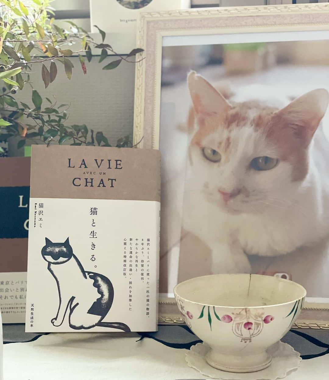 猫沢エミさんのインスタグラム写真 - (猫沢エミInstagram)「「猫と生きる。」の見本誌が届いた。  胸にぎゅっと抱きしめて、泣いた。  ピキ、イオちゃん、アニー… 今の私が書ける精一杯のものを書きました。執筆中、かたときも離れず傍にいてくれてありがとう。  旧版でもこだわったスピンは、復刊版でも引き継がれ、大好きなビリジアンのスピンをつけてもらった。〝エヴァーグリーン〟の意味を込めて。本の天井は〝天アンカット製本〟という、タチのない味わいのある仕上がりに。呼吸して、読者の方と歳を重ねていく生きた本が作りたかった。  イオちゃん、プロデュースお疲れさまでした。あなたはピキとアニー、そして私がこれまでの人生で見送った大切な魂をすべて召喚して、この本を世に送り出そうとしています。まるでこのために、私と出逢ったかのように。  今、あらためてあなたの命に深くお礼を申し上げるよ。  ありがとう。  #猫と生きる　#イオちゃんフォーエバー　#猫沢ピキ　#猫沢組　#真舘嘉浩-waters/orgasmo」9月14日 16時43分 - necozawaemi