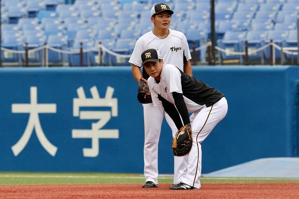 阪神タイガースさんのインスタグラム写真 - (阪神タイガースInstagram)「今日からは神宮球場でヤクルト戦‼︎ 試合前練習の様子です！  #熊谷敬宥 選手 #木浪聖也 選手 #小野寺暖 選手 #坂本誠志郎 選手 #メルロハスジュニア 選手 #糸原健斗 選手  #阪神タイガース #挑超頂」9月14日 16時59分 - hanshintigers_official