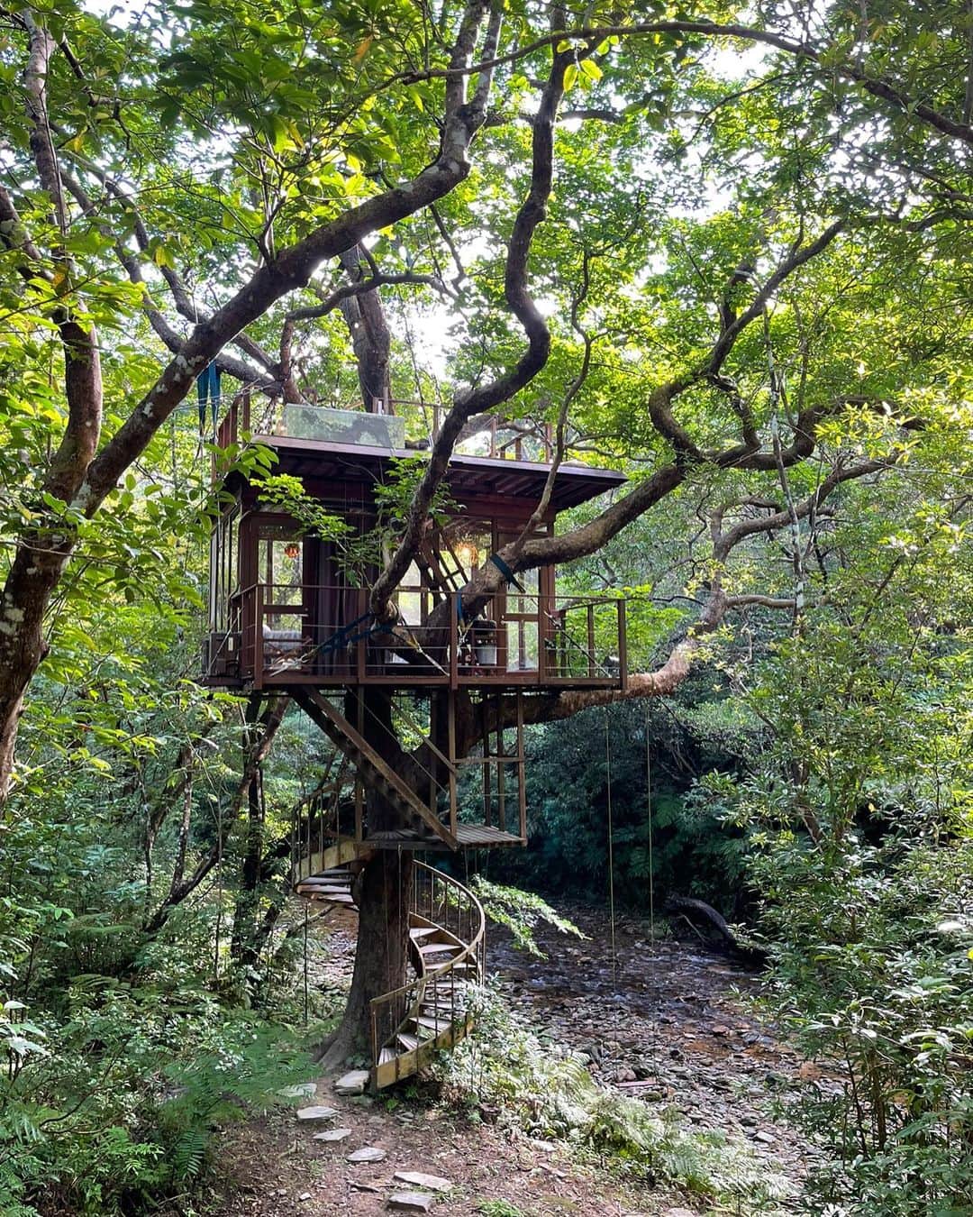 古賀あかねさんのインスタグラム写真 - (古賀あかねInstagram)「森の中のツリーハウス。  緑に囲まれた部屋って ずーっと理想だったから 今まで色んなところに 行ったけど1番すごかった！  自然がいっぱいで パワーチャージできた🧖🏾‍♀️  #treehouse #treefulltreehouse」9月14日 19時07分 - iam.akanetan