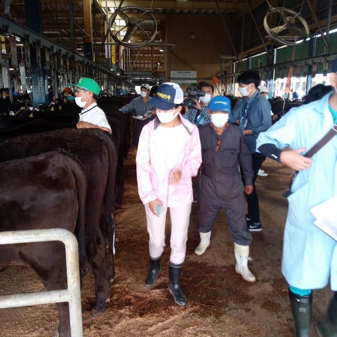 のインスタグラム：「#小牛田　 #みやぎ総合家畜市場 へ 子牛の競りを見学させていただきました。  県内からたくさんの生産農家さんたちや、 買参者さんで賑わっていました。 駐車場も中もたいへん広く、見やすい。 また、 生産農家さんや 千葉石巻市議にも色々と教えていただきましたが、こうして目で見て覚え、 感じることの大切さを感じました。  #宮城五区 #辻立ちクイーン  #現場 #だからこそ伝わるものがある」