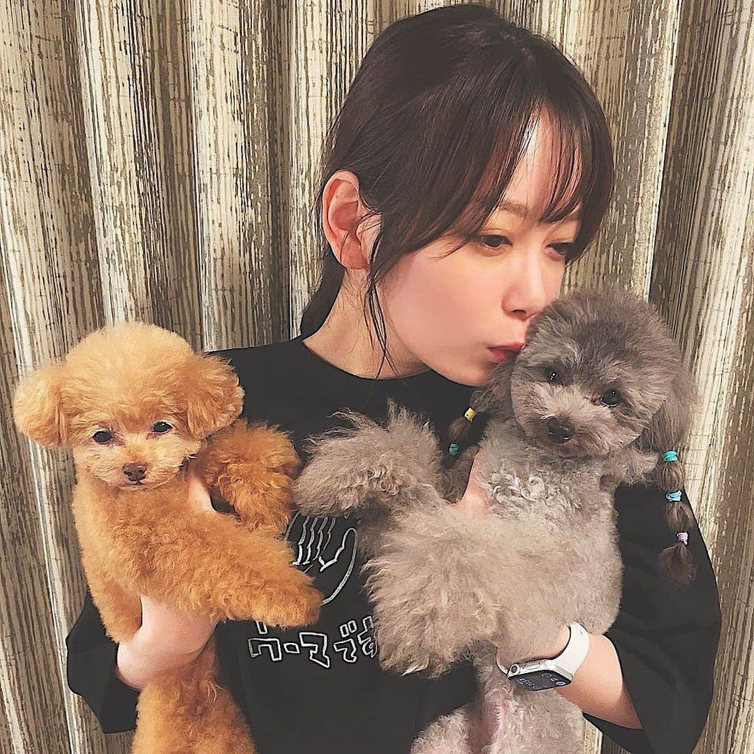 竹本萌瑛子のインスタグラム：「好きなTシャツ、好きなイッヌ . #ウーマです #ダイアン」