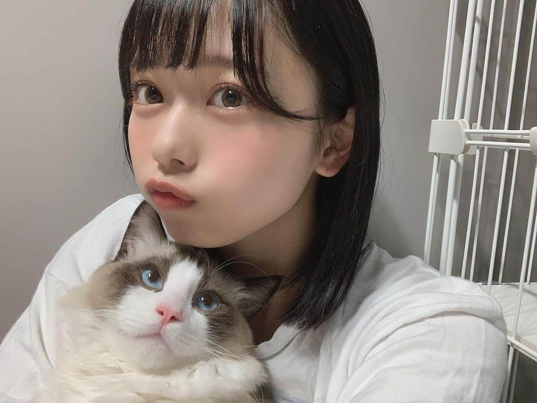 峰島こまきさんのインスタグラム写真 - (峰島こまきInstagram)「ちょっと前の写真ですが 、🐈‍⬛」9月14日 22時20分 - mineshima_komaki