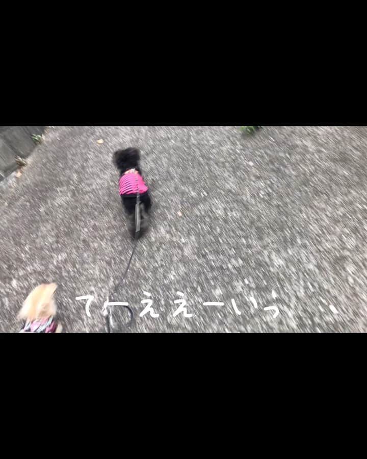 メルロコ一家の楽屋裏のインスタグラム