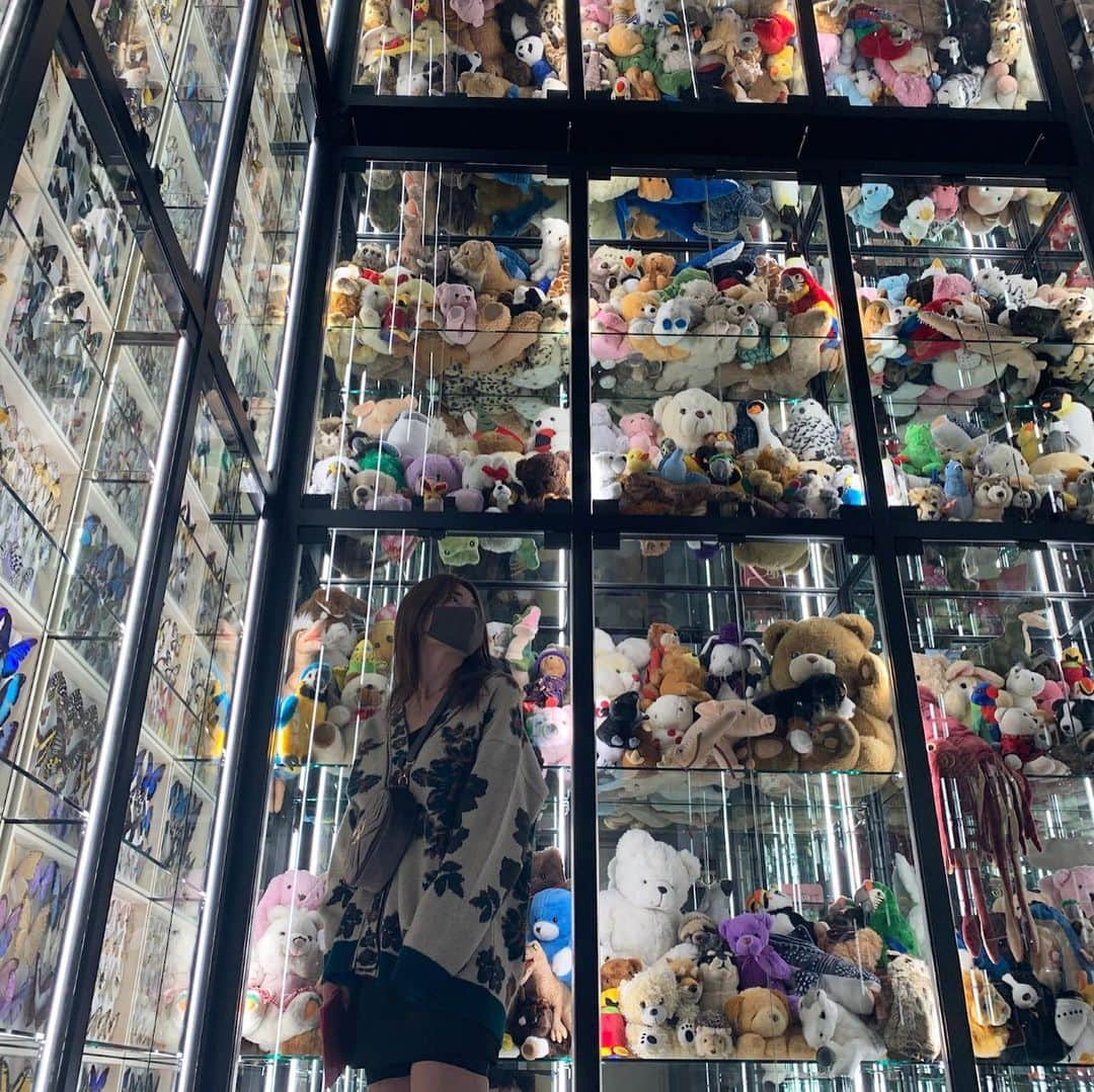 新山千春さんのインスタグラム写真 - (新山千春Instagram)「🧸🧸🧸✨  #レトロニット #新山千春 #art #artofinstagram  #japan #japan_of_insta  #japanphoto」10月14日 0時08分 - chiharuuu_0114