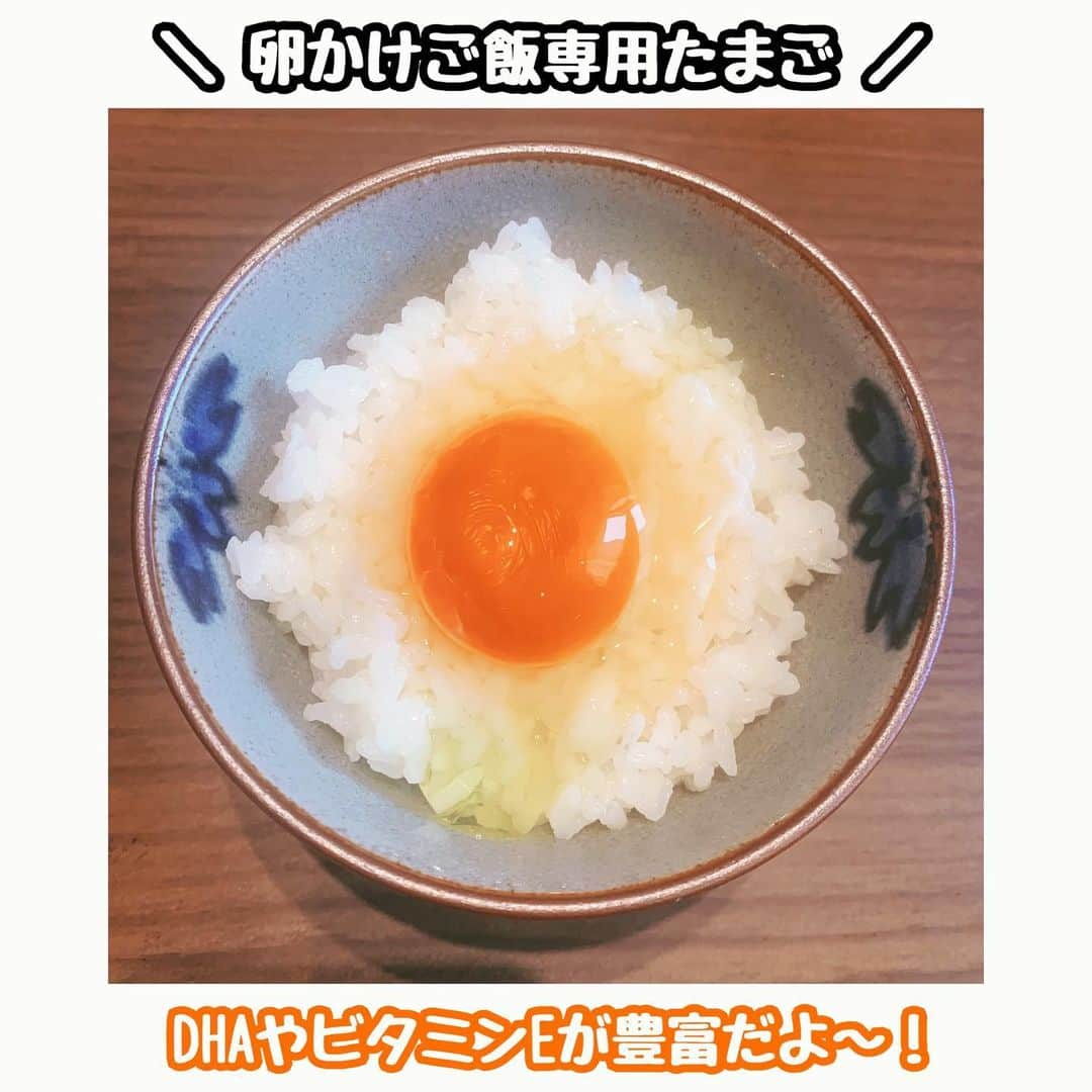 佐藤あり紗さんのインスタグラム写真 - (佐藤あり紗Instagram)「pr @eggtocofoods . . 栄養豊富でここまで濃い🥚ちゃん、初めて食べた🥚👏🏻✨💗 . 卵かけご飯は何もかけなくても美味しかったです🍚🌈 卵かけご飯を食べる時のわたしのこだわりは 卵黄だけかけるという贅沢な食べ方😭🙏 でも、マリンエッグは美味しさずば抜けているので 混ぜて食べてます🤤🥢🍽 ※卵白は違う料理で使うよ🤗 . 一度お試しあれ🥚💓 . 2枚目の動画 割れないのかーい🥚笑 . #マリンエッグ #卵かけごはん #TKG #トコフーズ #トリドリベース」10月14日 0時50分 - arisa_chu