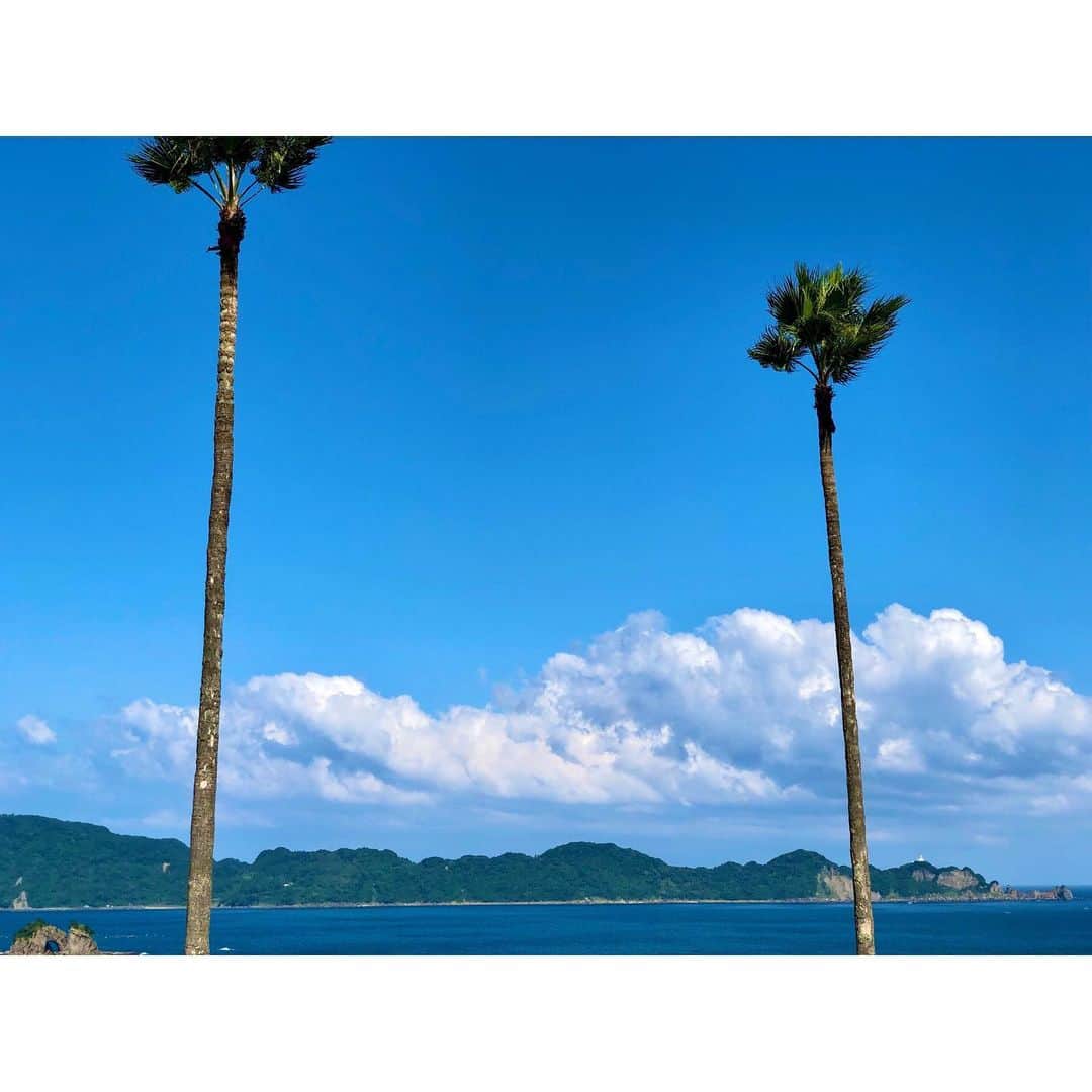 宇田川紗稚のグルメインスタ