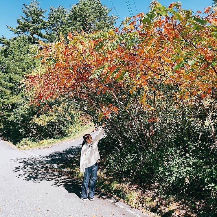 吉岡聖恵さんのインスタグラム写真 - (吉岡聖恵Instagram)「ちょっと秋を探しに🍁  季節の移り変わりを感じますね🌝🍂  ススキって和むな、好きだな✨  良い秋にしましょうね🌰✨  すすきよ🍠🍇🎃  #お散歩」10月10日 17時39分 - kiyoe_yoshioka_official
