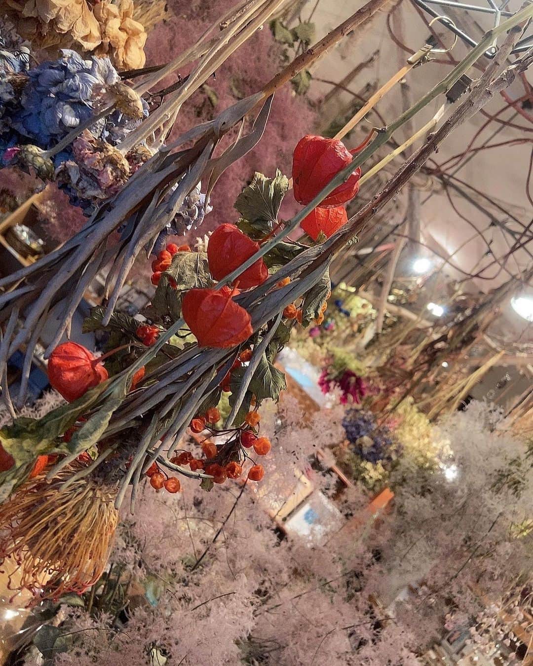 宮村ななこさんのインスタグラム写真 - (宮村ななこInstagram)「Dry Flower. #photography #photo #dryflower #flower #flowers #nostalgie」10月10日 15時41分 - miyamuchan_001
