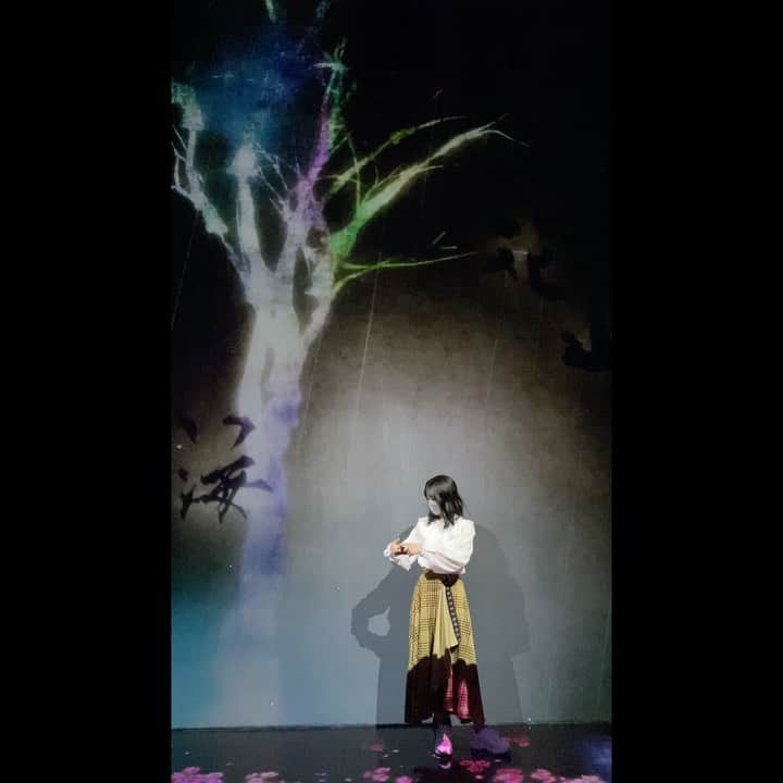 國森桜のインスタグラム：「撮られていても さくは他のものを撮ります笑  その撮った写真はTwitterにて笑  そしてタイミングがとても良い ラストw 吸い込みました」