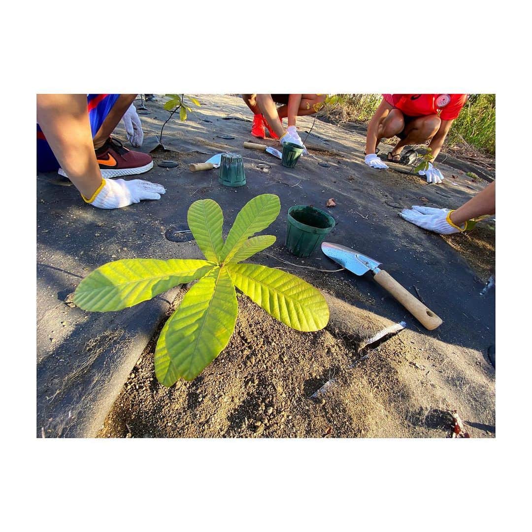 寺内健さんのインスタグラム写真 - (寺内健Instagram)「今日は尼崎スポーツの森での水泳イベントに参加させて頂きました。 水球、アーティスティックスイミングのオリンピアンとのトークショーや実演（飛込のプールはないため陸上での取り組みを紹介）、最後には植樹を参加者の子供たちと行い交流を深めれた事を嬉しく思います。 自分の植樹した苗をまた数年後に見に来れる楽しみと共ににイベントは終了しました。 ご参加頂きました皆様ありがとうございました。 #尼崎 #hyogo #diving #artisticswimming  #waterpolo #swimming」10月10日 17時03分 - ken_terauchi_87
