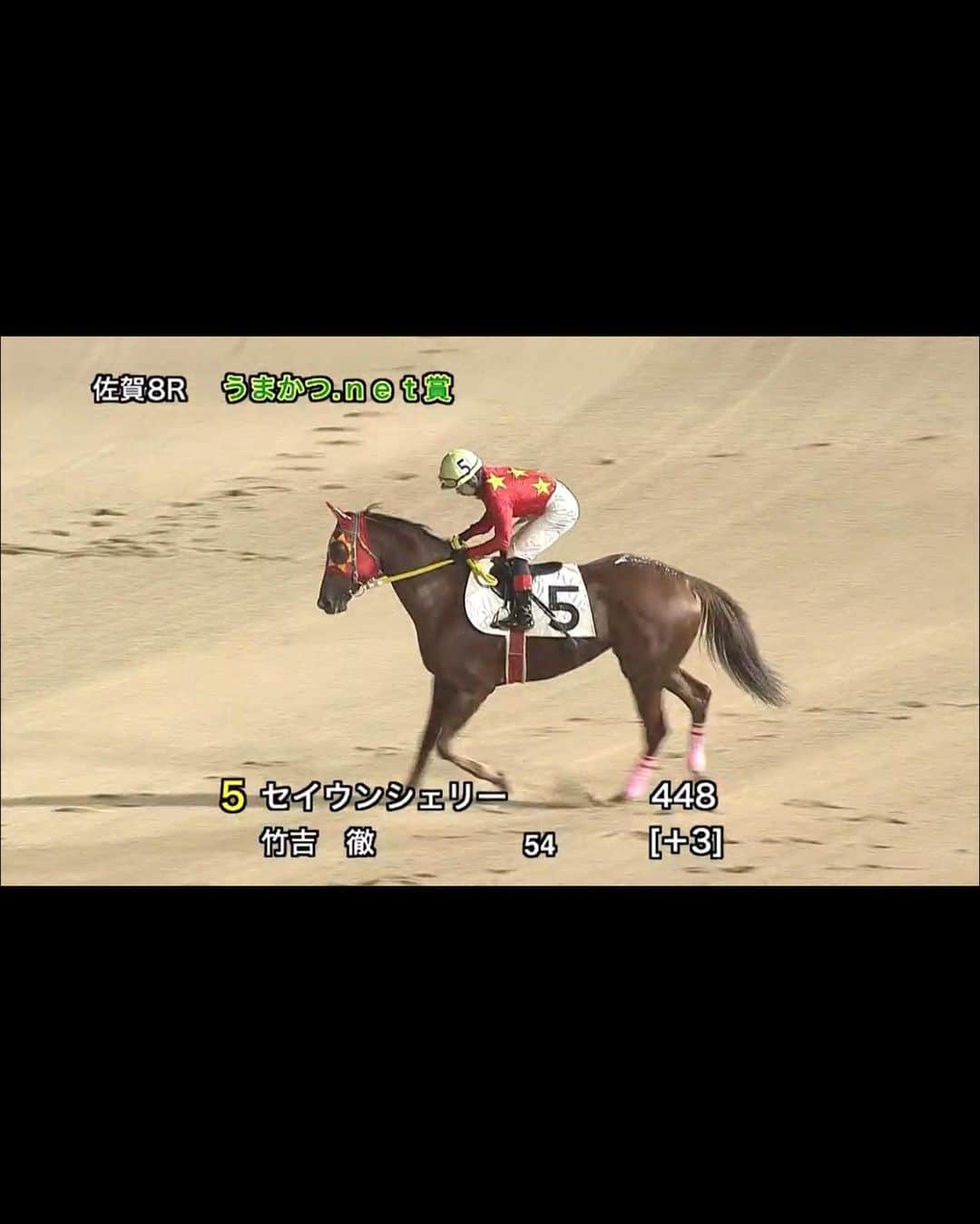 矢部美穂さんのインスタグラム写真 - (矢部美穂Instagram)「佐賀競馬場8レースに出走したセイウンシェリー‼️ 単勝1.2倍の断然人気でしたが相応しい勝ち方をしてくれました🏆  山田先生もまだまだいけます‼️と太鼓判をおしてくれました💖  楽しみが広がります😍  これで今期11勝です✨  このあと21時過ぎからインスタライブしますね💛  #セイウンシェリー #佐賀競馬場  #竹吉徹騎手  #山田義人厩舎  #馬主ライフ  #チーム地方競馬 #PR　 @nar_keiba_official  #40代  #矢部美穂」10月10日 19時32分 - miho.yabe.0607