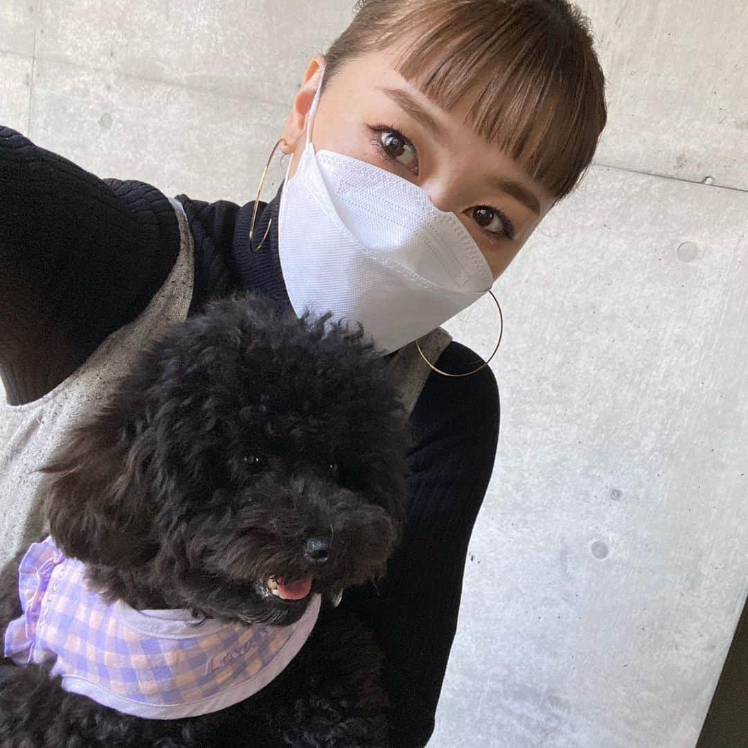 土田瑠美さんのインスタグラム写真 - (土田瑠美Instagram)「久々に少しの時間だけど 会えたマツコ🐶🤍  随分大きくなった〜🥺❣️」10月10日 21時25分 - ru0711