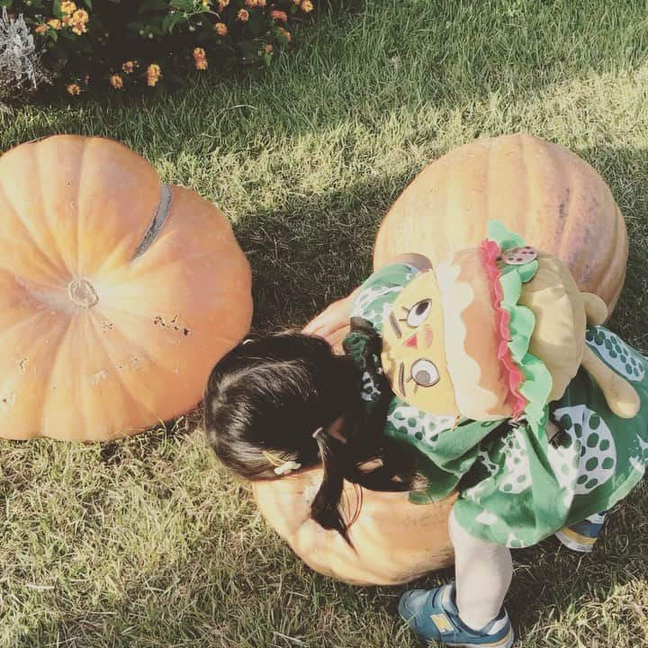 KIKIのインスタグラム：「おばけかぼちゃと力比べ🎃✨」