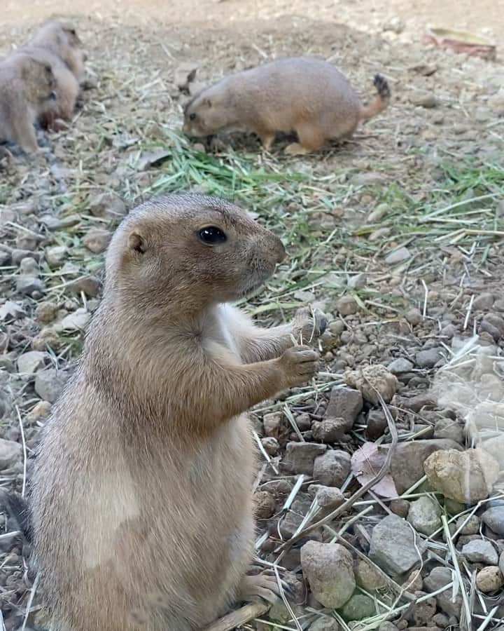 熊田曜子のインスタグラム