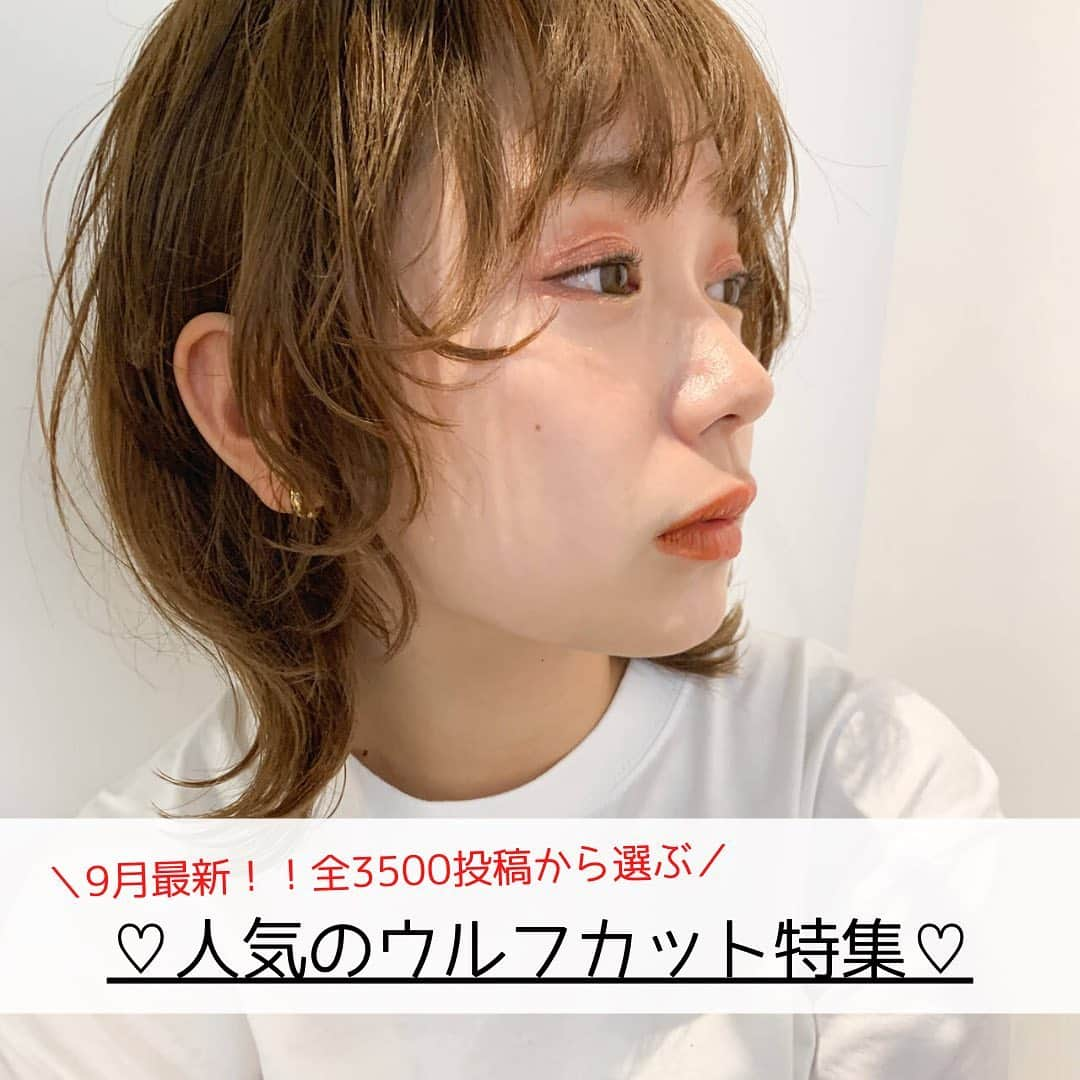 HAIRのインスタグラム：「. ＼最新！！全3500投稿から選ぶ／ 9月の人気のウルフカット特集♡  9月に投稿されたばかりの最新ヘアスタイルから、人気のウルフカットを厳選してお届け！  右下の保存でこんな時に便利！ ✔︎「この髪型で！」とオーダーするとき ✔︎「どんな髪型にしようかな〜」と考えるとき ✔︎「この人に切ってもらいたい！」が見つかったとき  ——————————————— HAIR公式Instagramでは… 「HAIR」に掲載の 40万枚以上のヘアスタイル写真を 2.8万人の登録スタイリストとHAIR編集部が厳選して紹介  あなたの「なりたい」を叶えるために、最新トレンドやオススメ商品の情報を毎日配信していきます @hair.cm ———————————————  #ヘアスタイル #ウルフカット #ウルフカット女子 #オリーブベージュ #パープルカラー #ミルクティーベージュ #ブルージュ #ネオウルフ #マッシュウルフ」