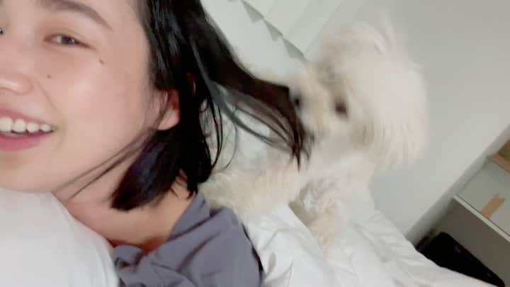 高嶋香帆のインスタグラム：「おっちが背中で遊んでたので、犬語で話しかけてみたらしっかり答えてくれたの、天才的に可愛すぎる🤣🤣🤣」