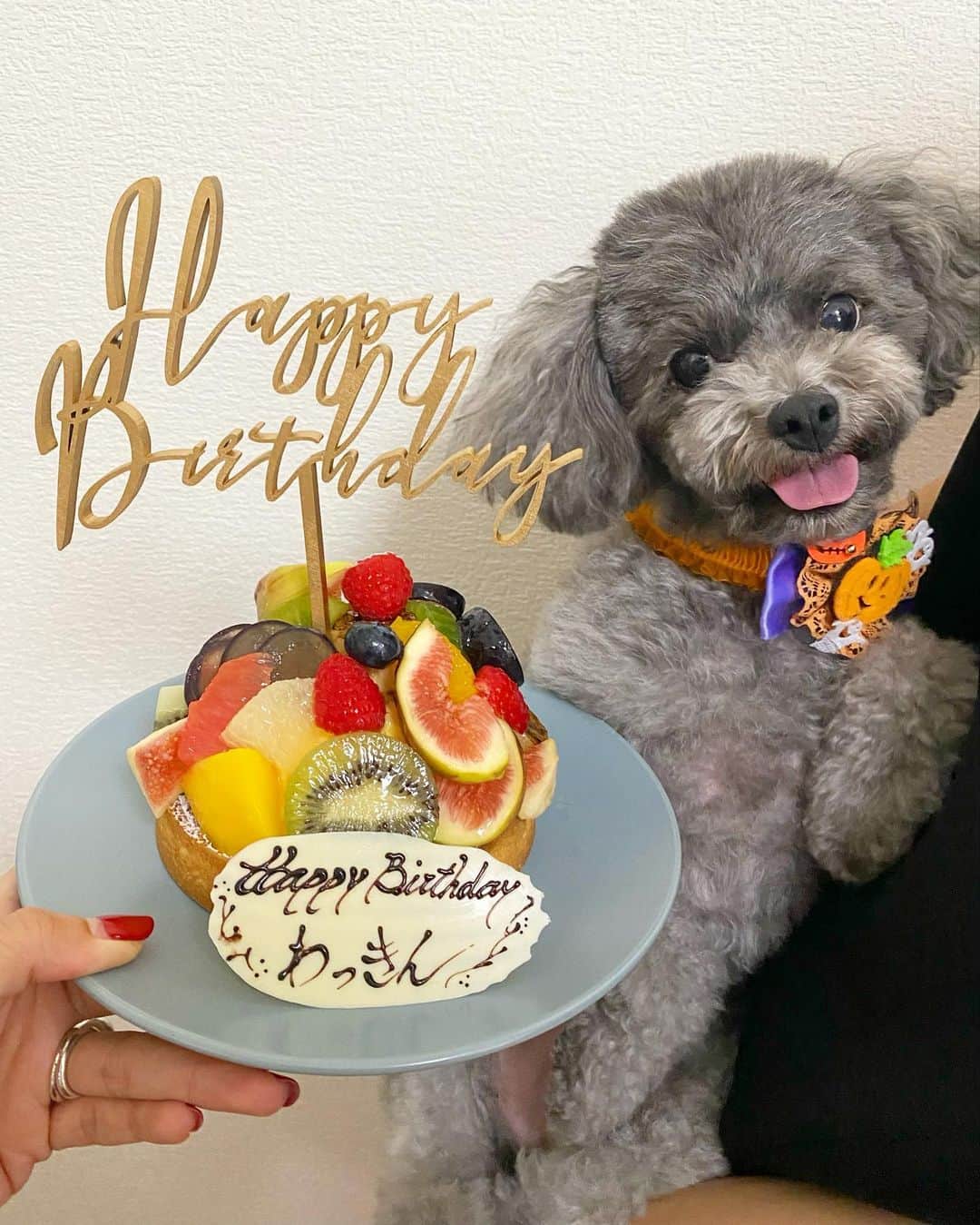 Mai Wakimizuさんのインスタグラム写真 - (Mai WakimizuInstagram)「お誕生日とは言え、popup前で忙しいし本当に何もしないでね！と事前に伝えてたのに♡朝出勤するとドリカムのhappy happy birthdayが流れてて、皆がケーキを持って私の登場を待ってくれてた＼(^o^)／やーらーれーたー！笑 しかも大大大好きなラヴニューのフルーツタルトやんか♡"何もしないわけにはいかないでしょ"って。もうもう！嬉しいなぁ♡ てことで、本日35歳なりました♡年々お誕生日に対しての特別感が無くなってたけど、お祝いされるとやっぱり嬉しい♡35ちゃいになったwakkinもどうぞ宜しくお願いします♡笑 #10月11日#happybirthday#愛犬カプリ#トイプードル#ラヴニュー#threem」10月11日 13時42分 - wakkin__m