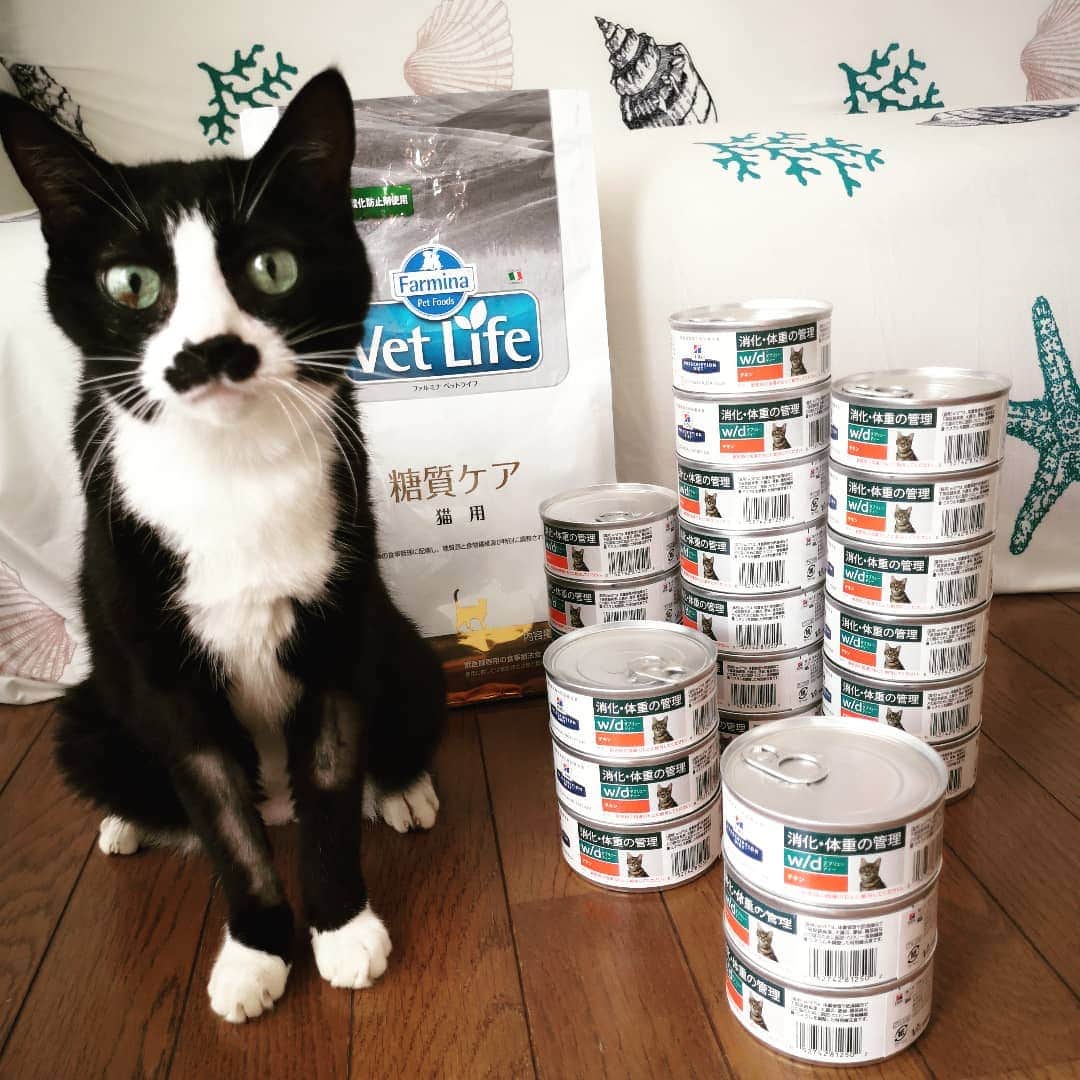 REIKAのグルメインスタ